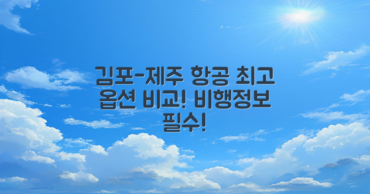 김포 제주 항공 옵션 비교
