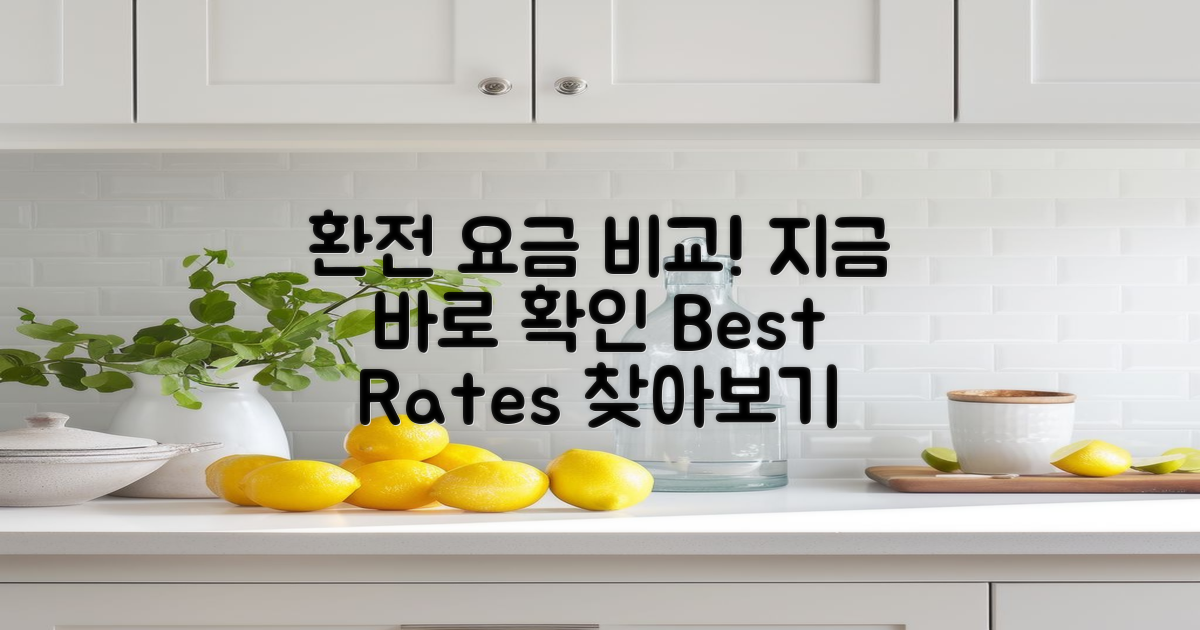 지금 환전 요금을 비교하세요