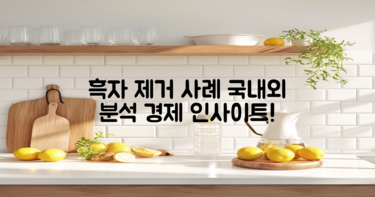 국내외 흑자 제거 사례