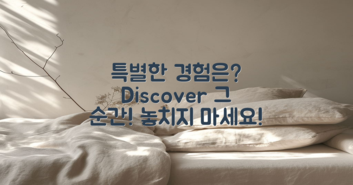 특별한 체험은 무엇일까?