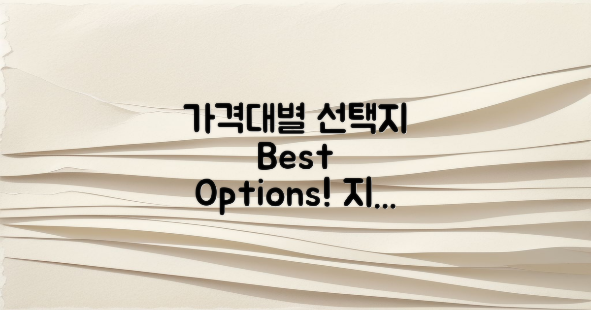 가격대별 선택지 검토