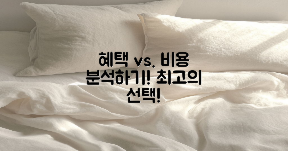 혜택과 비용 분석