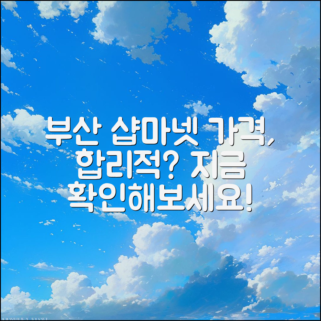 부산 샵마넷 가격, 과연 합리적일까요?