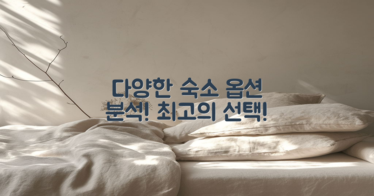 다양한 숙소 옵션 분석