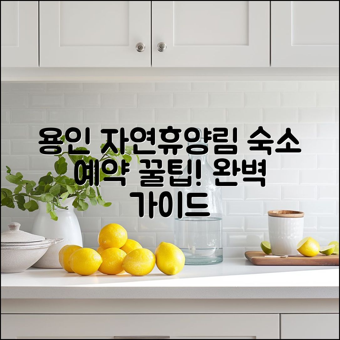 용인자연휴양림 숙소 예약 완벽 가이드