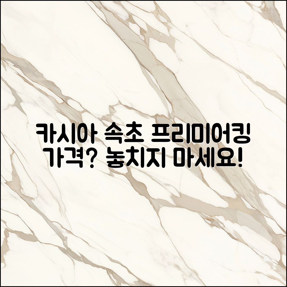 카시아 속초 프리미어킹 가격, 알고 계신가요?