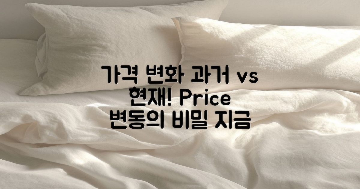 과거 vs 현재 가격 변화