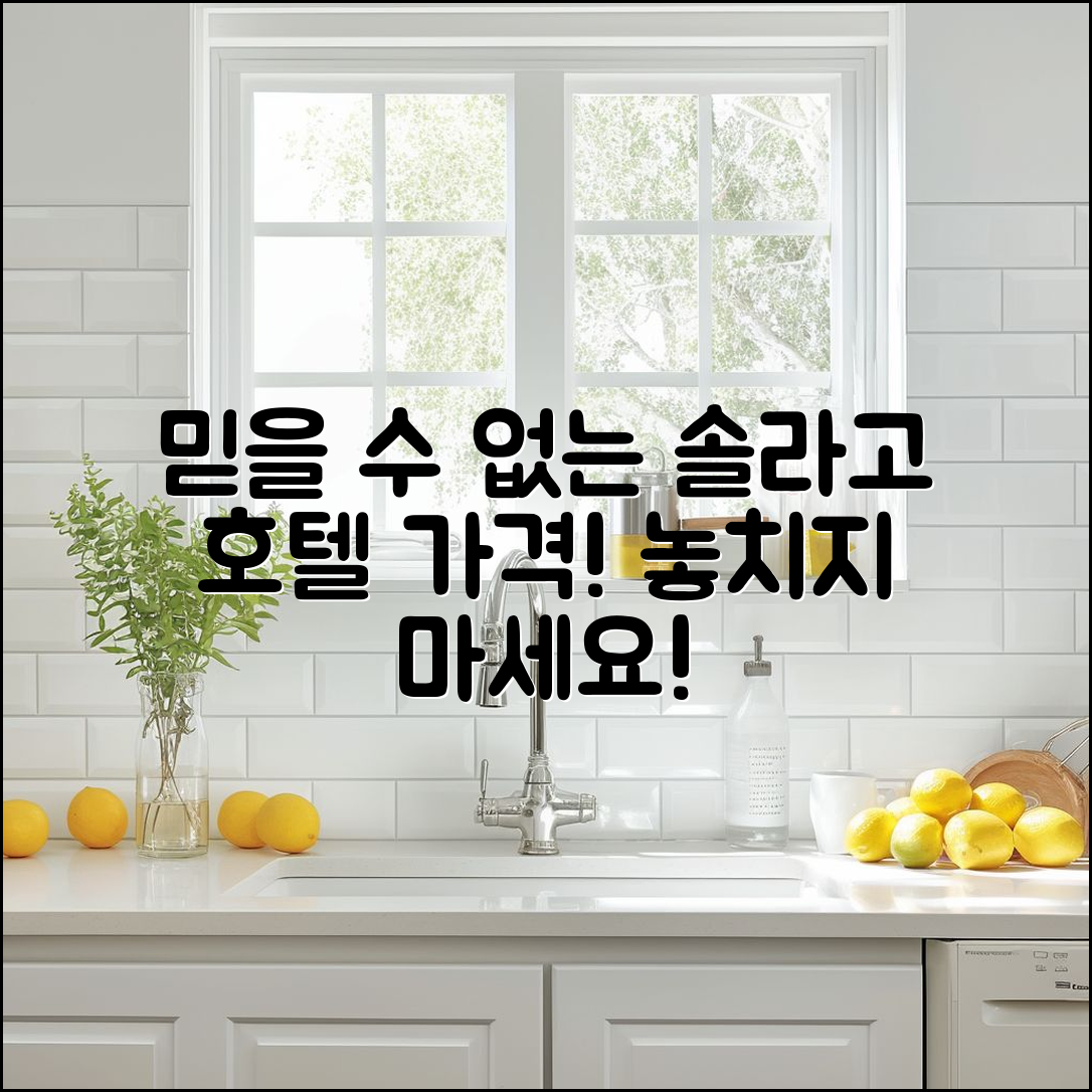 믿을 수 없는 솔라고 명동 호텔 가격 공개!