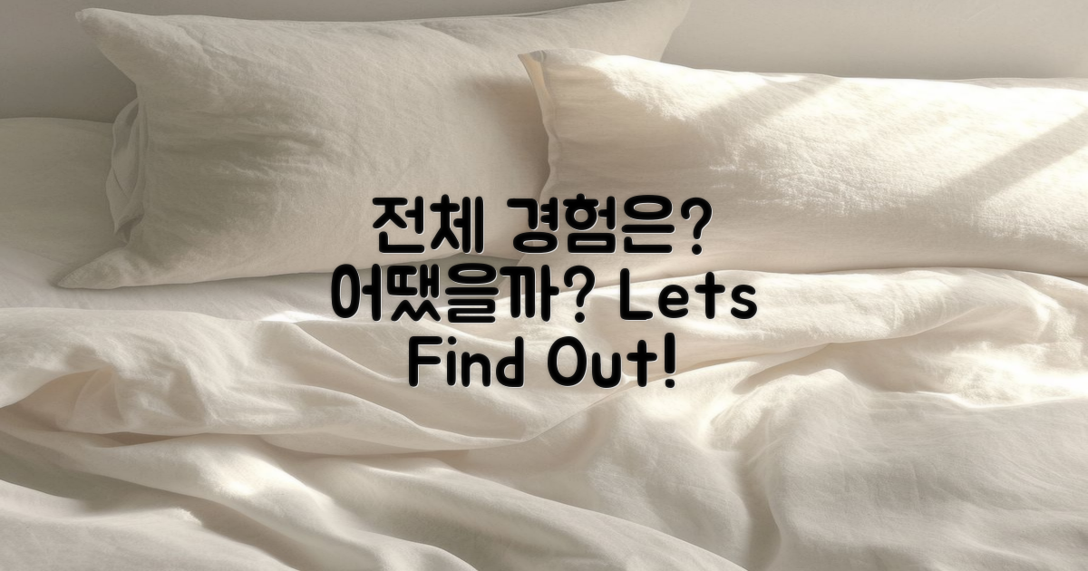 전체 경험은 어땠을까?