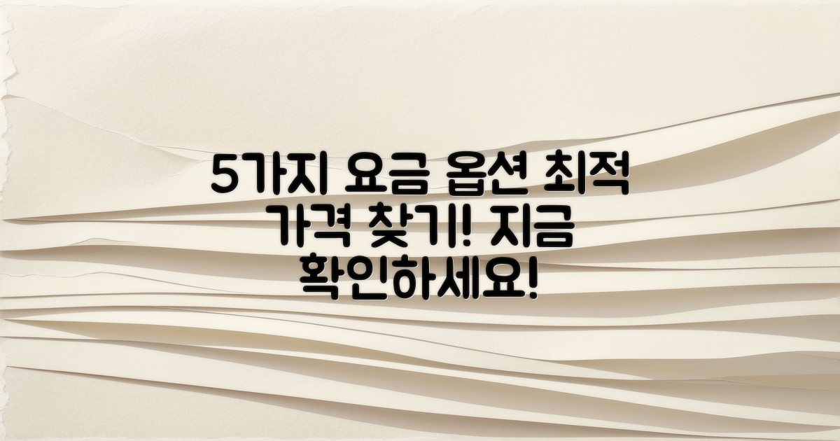 5가지 요금 옵션
