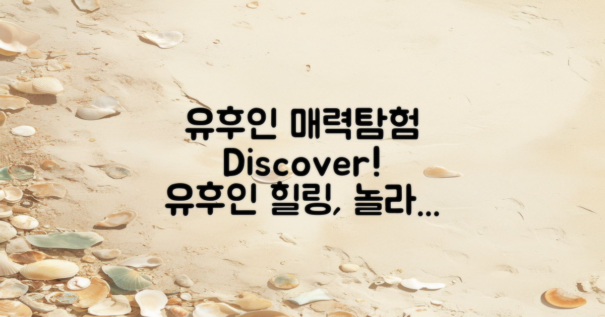 유후인의 매력을 느껴보세요