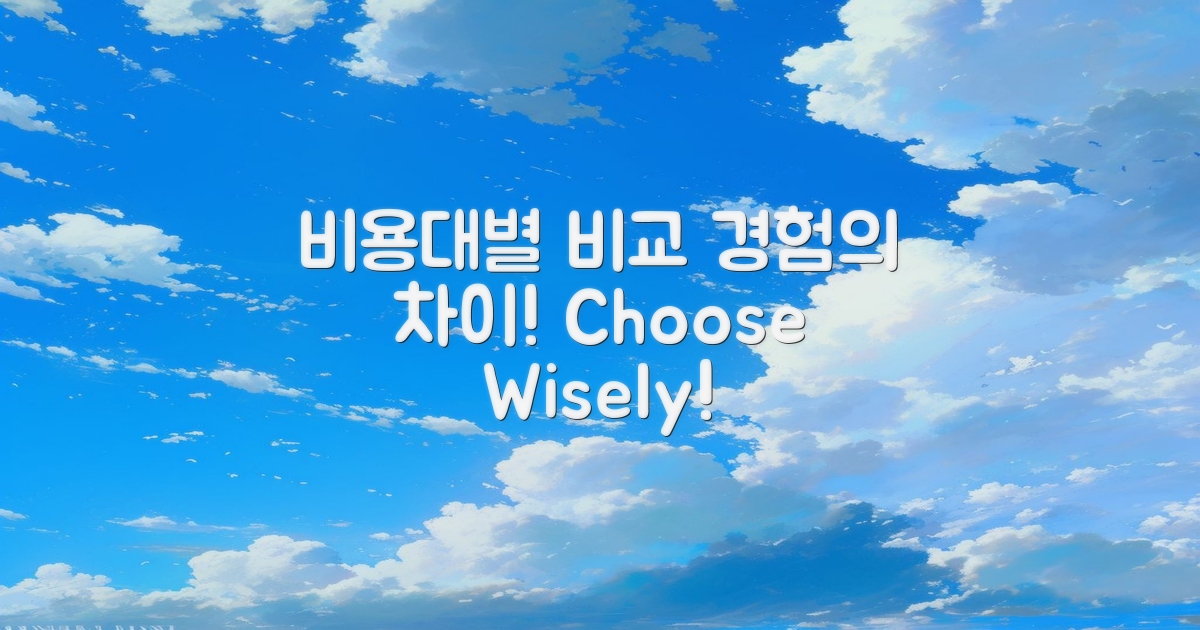 비용대별 경험 비교