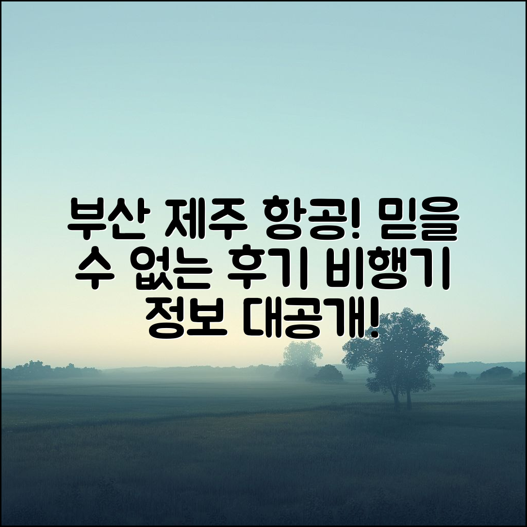 믿을 수 없는 부산 제주 항공 권 후기 공개!