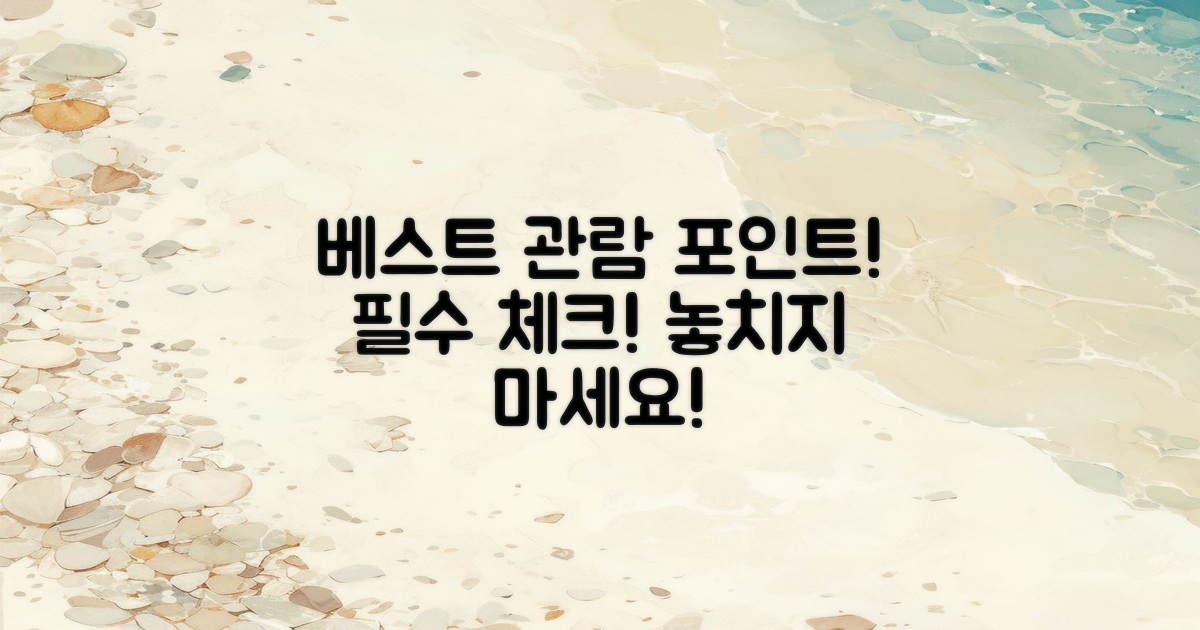 베스트 관람 포인트