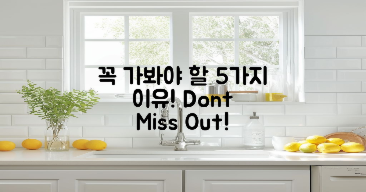 5가지 꼭 가봐야 할 이유