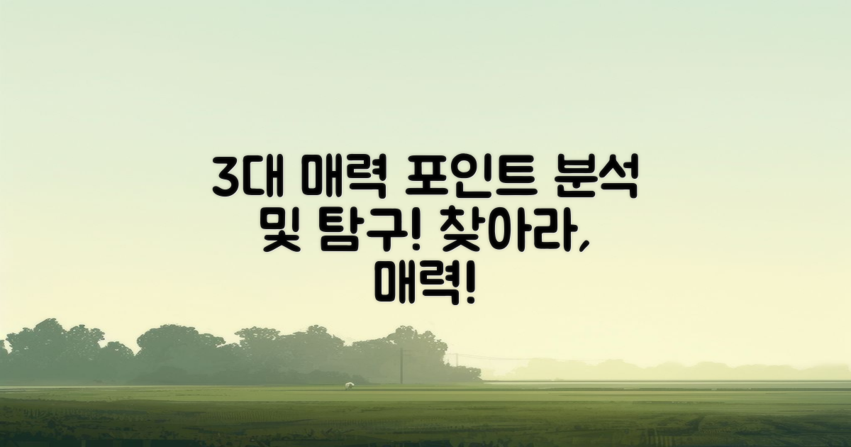 3대 매력 포인트 분석