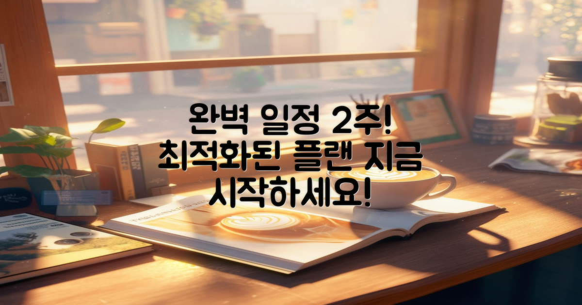 2주 동안의 완벽 일정