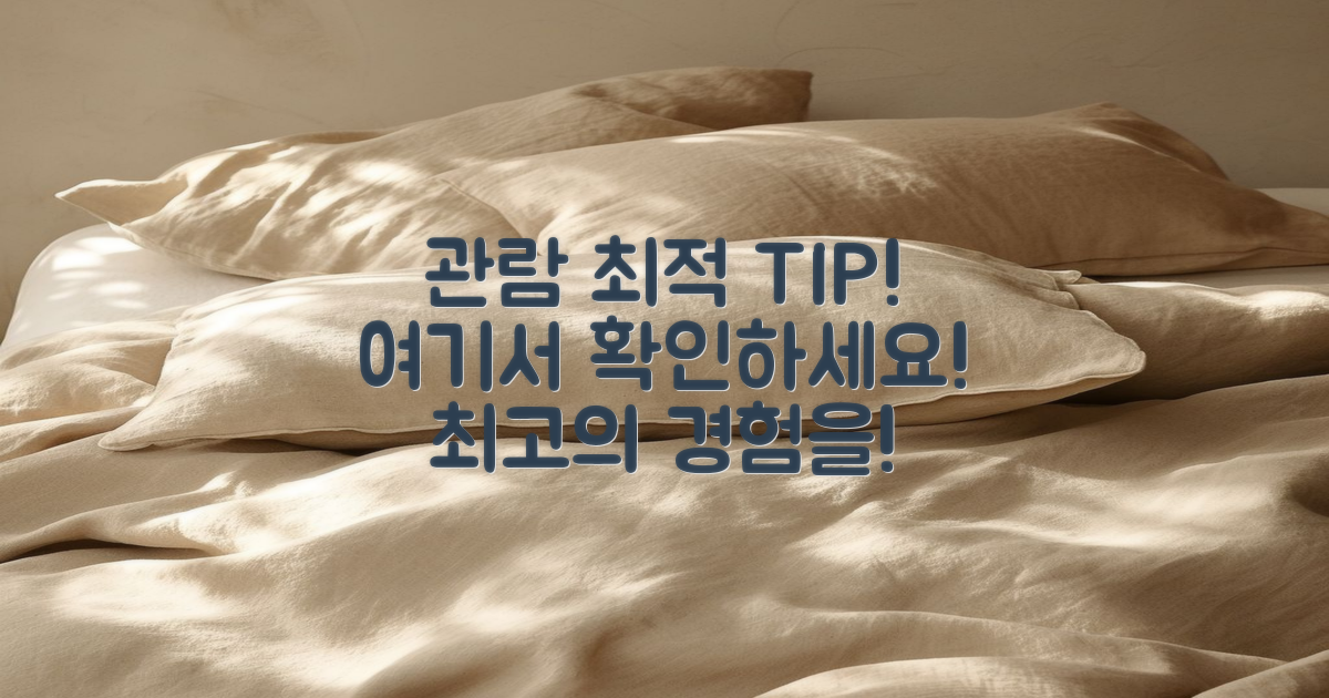 최적의 관람 팁을 알아보세요