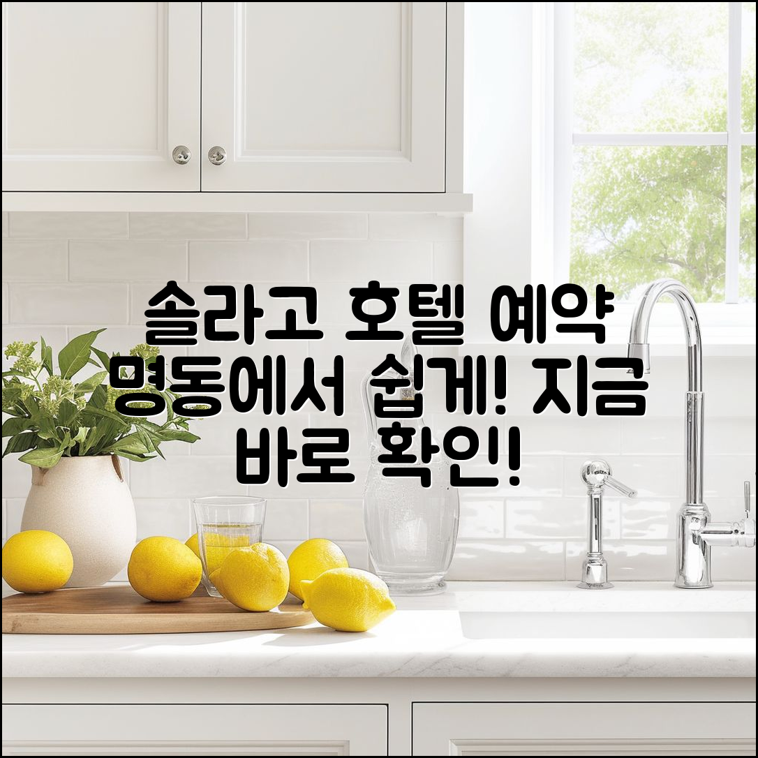 솔라고 호텔 명동 예약, 어떻게 하면 좋을까요?