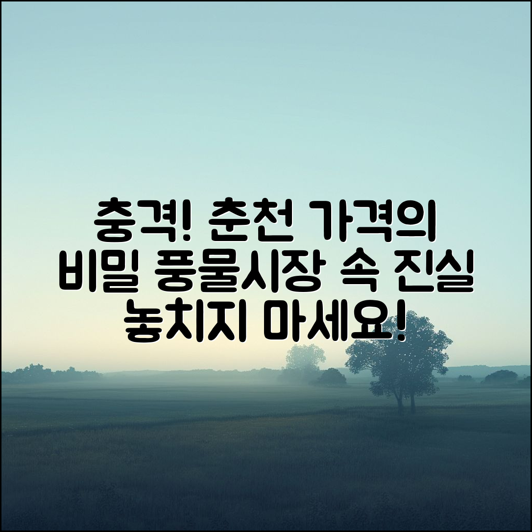 충격적인 춘천 풍물시장에서의 가격 비밀!