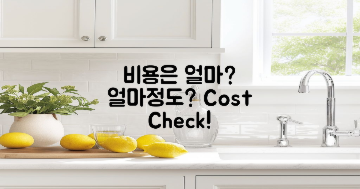 비용은 얼마 정도일까?