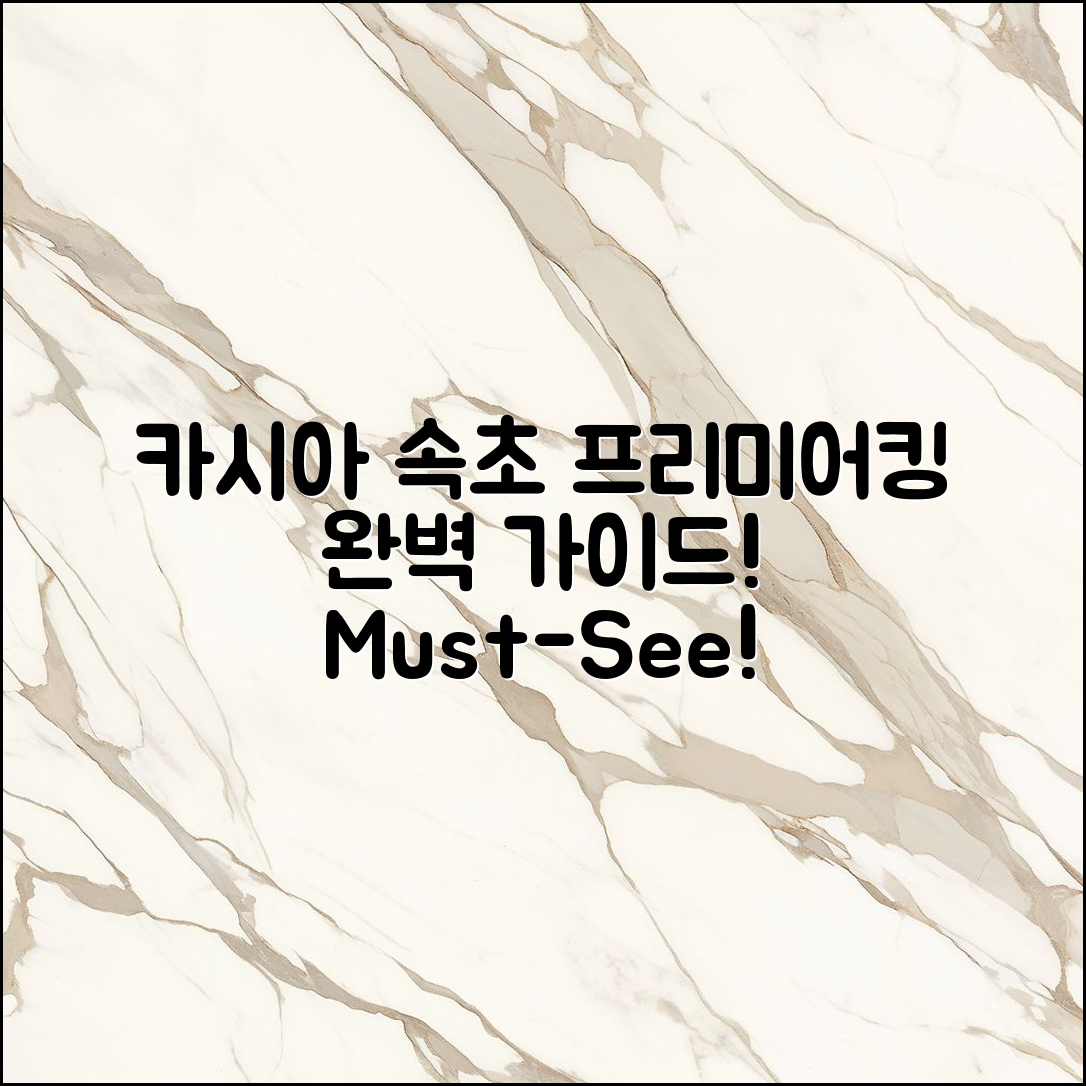 카시아 속초 프리미어킹 완벽 가이드