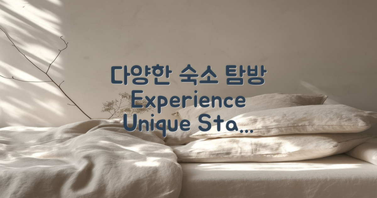 다양한 숙소 옵션 탐방