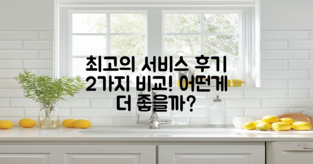 2가지 서비스 이용 후기