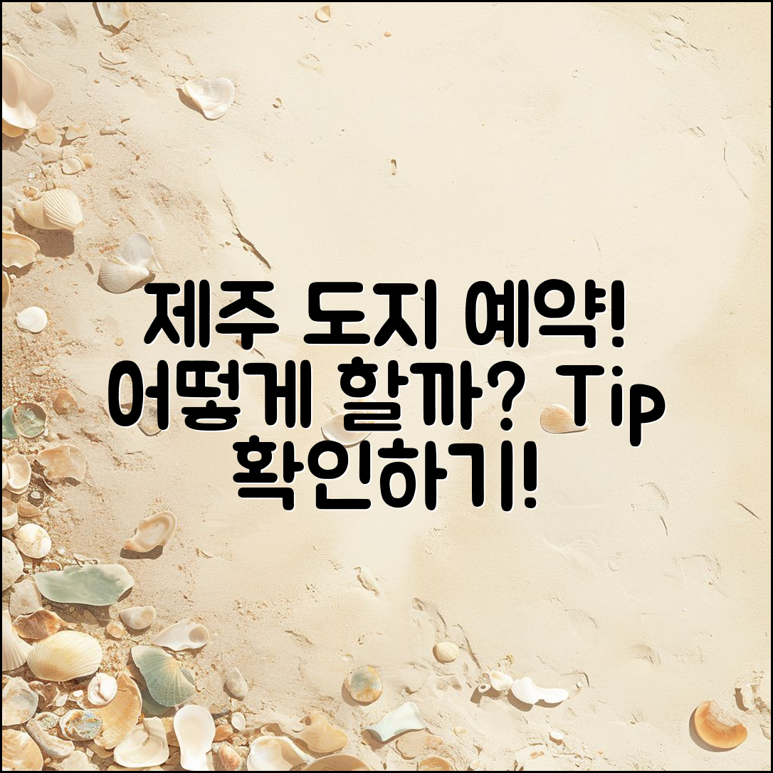 제주 도지도보기 예약, 어떻게 하는 게 좋을까요?