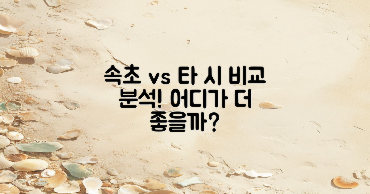 속초와 타 시 비교