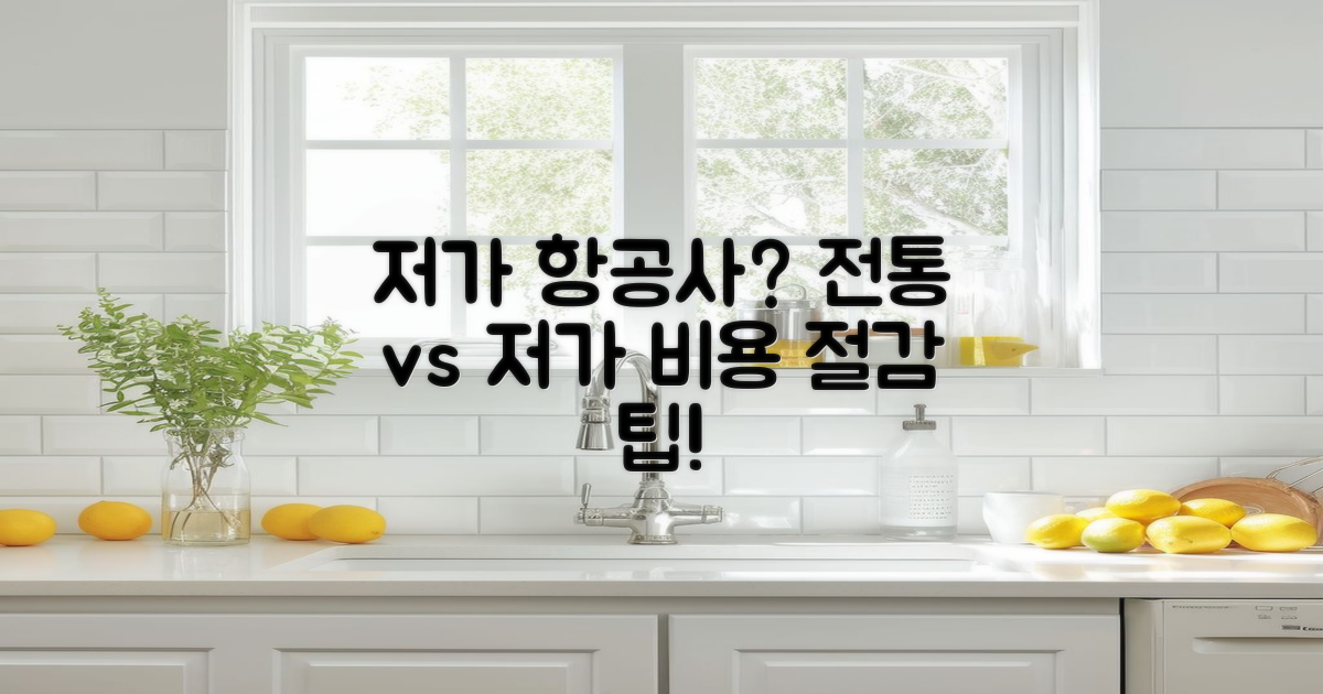 저가 항공사 vs 전통 항공사
