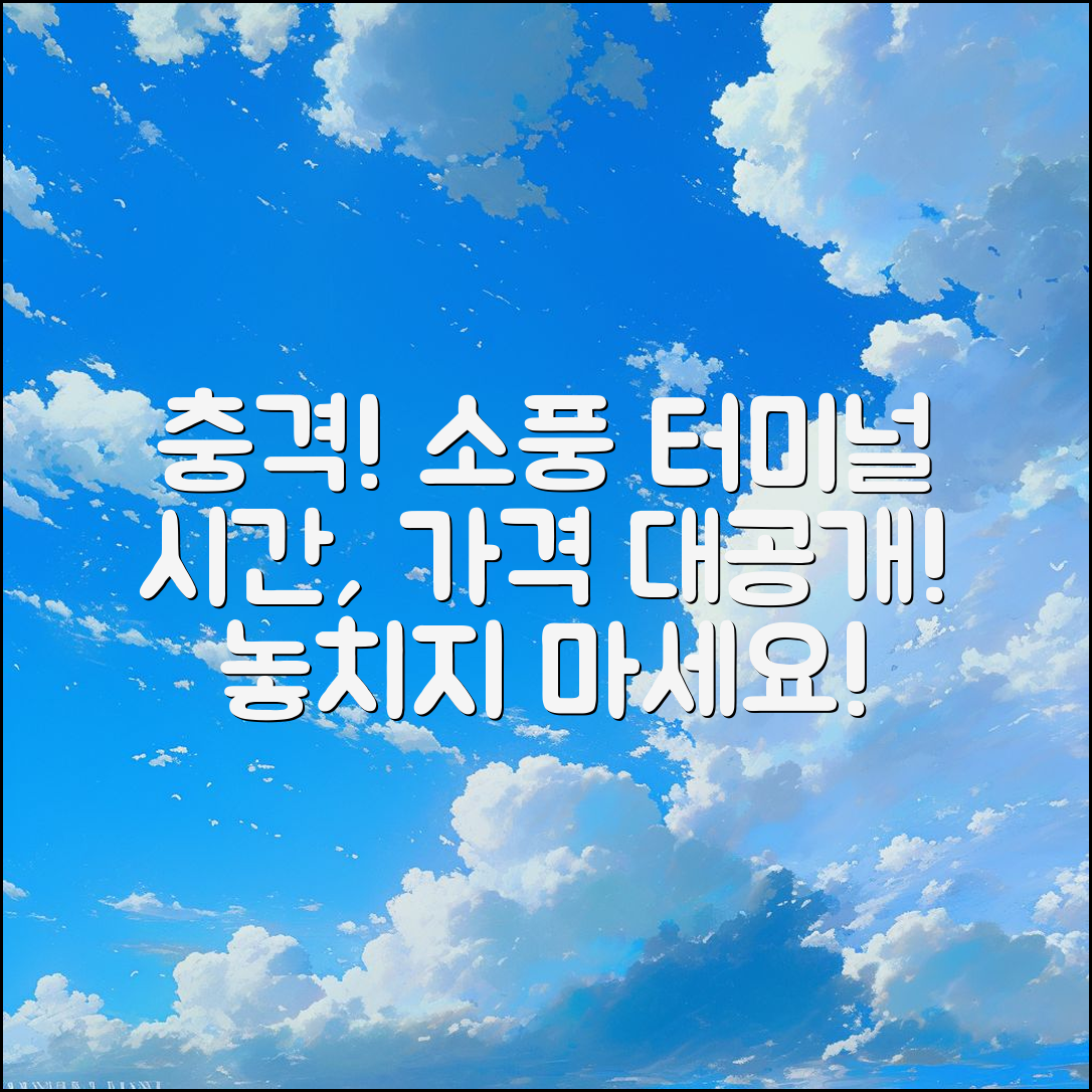 충격적인 소풍 터미널 시간 표 가격 공개!