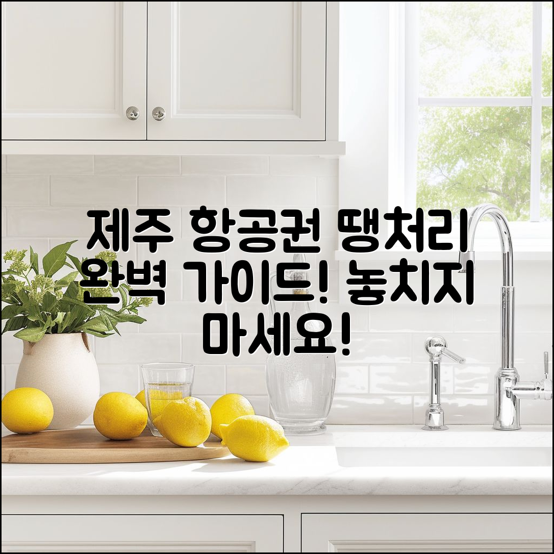 제주 도 항공 권땡처리 완벽 가이드