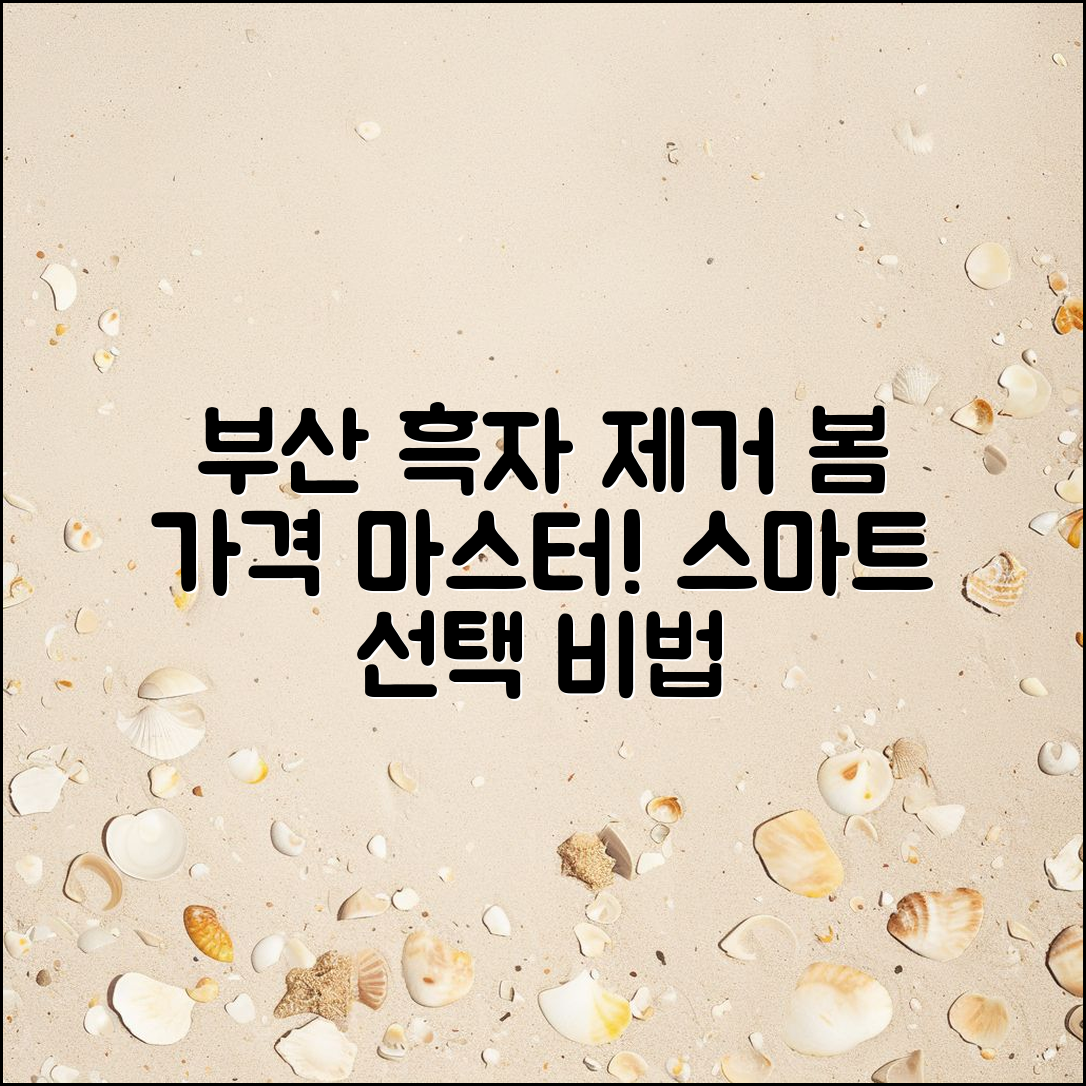 부산 흑자제거봄 가격 마스터하기: 스마트한 선택의 비법