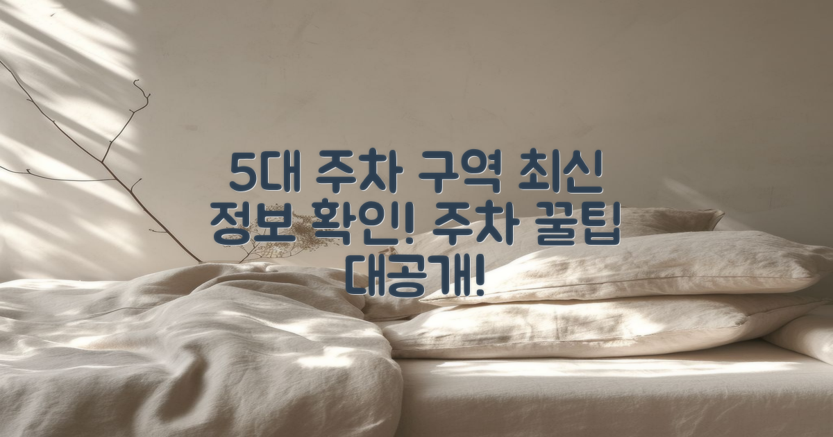 5대 주차 구역 정보