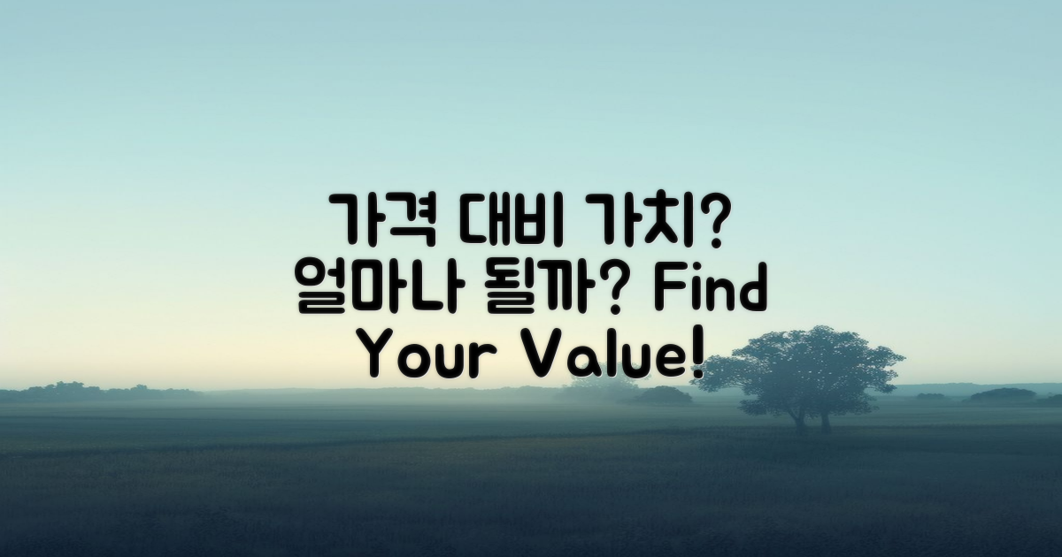 가격 대비 가치는 얼마나 될까?