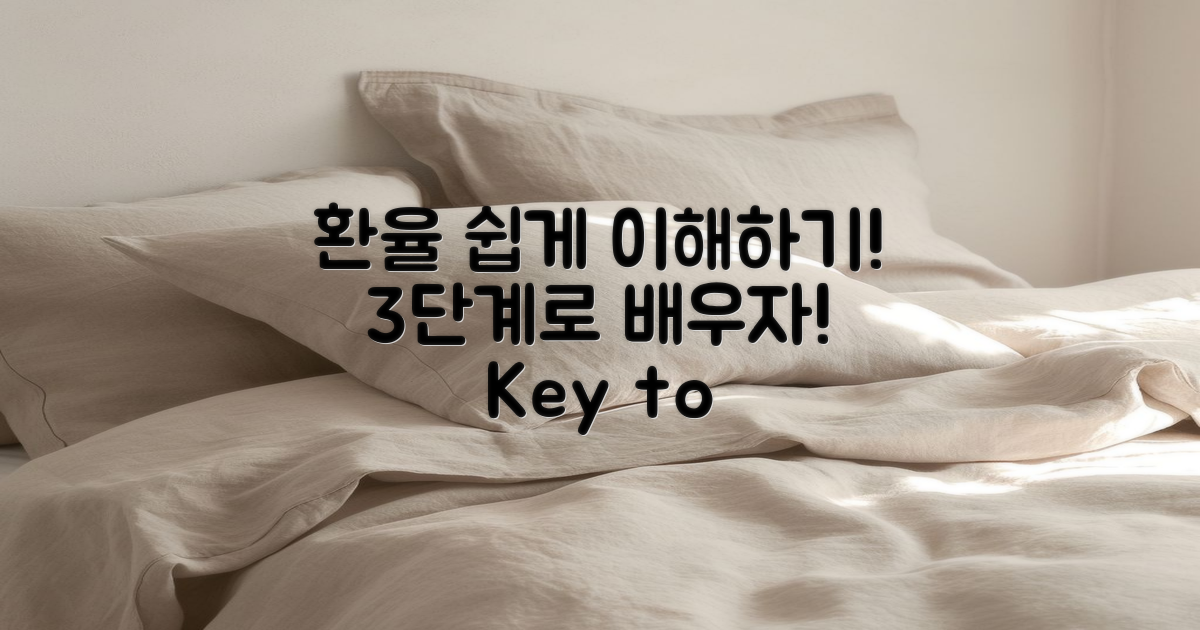 3단계로 이해하는 환율