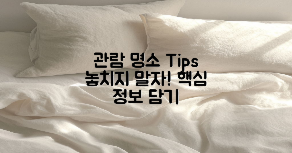 관람 명소와 팁