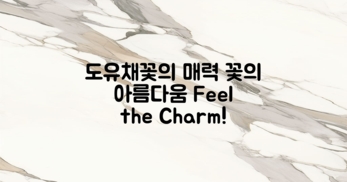 도유채꽃의 매력