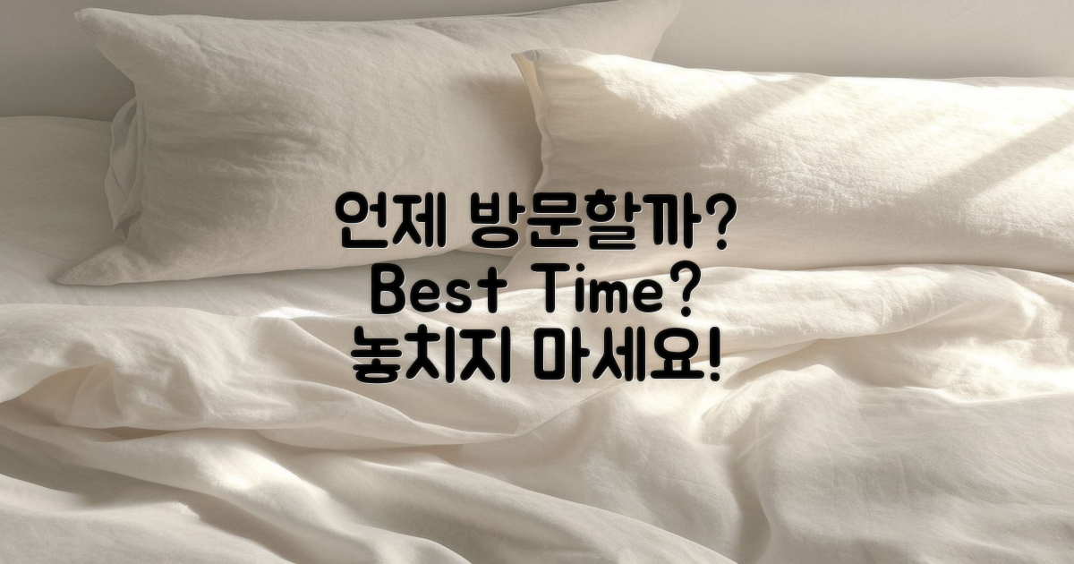 언제 방문하는 게 좋을까?