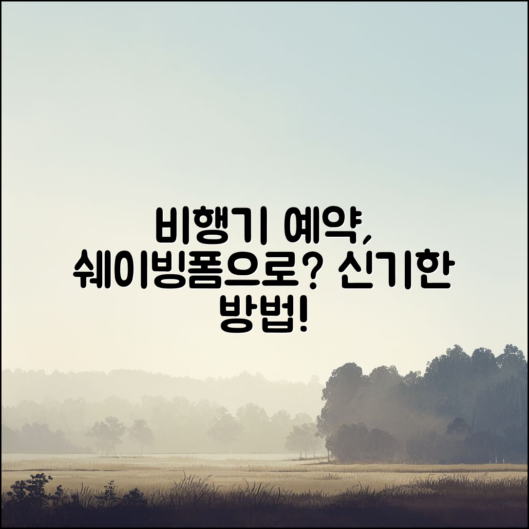 쉐이빙폼으로 비행기 예약, 이렇게 할 수 있을까?