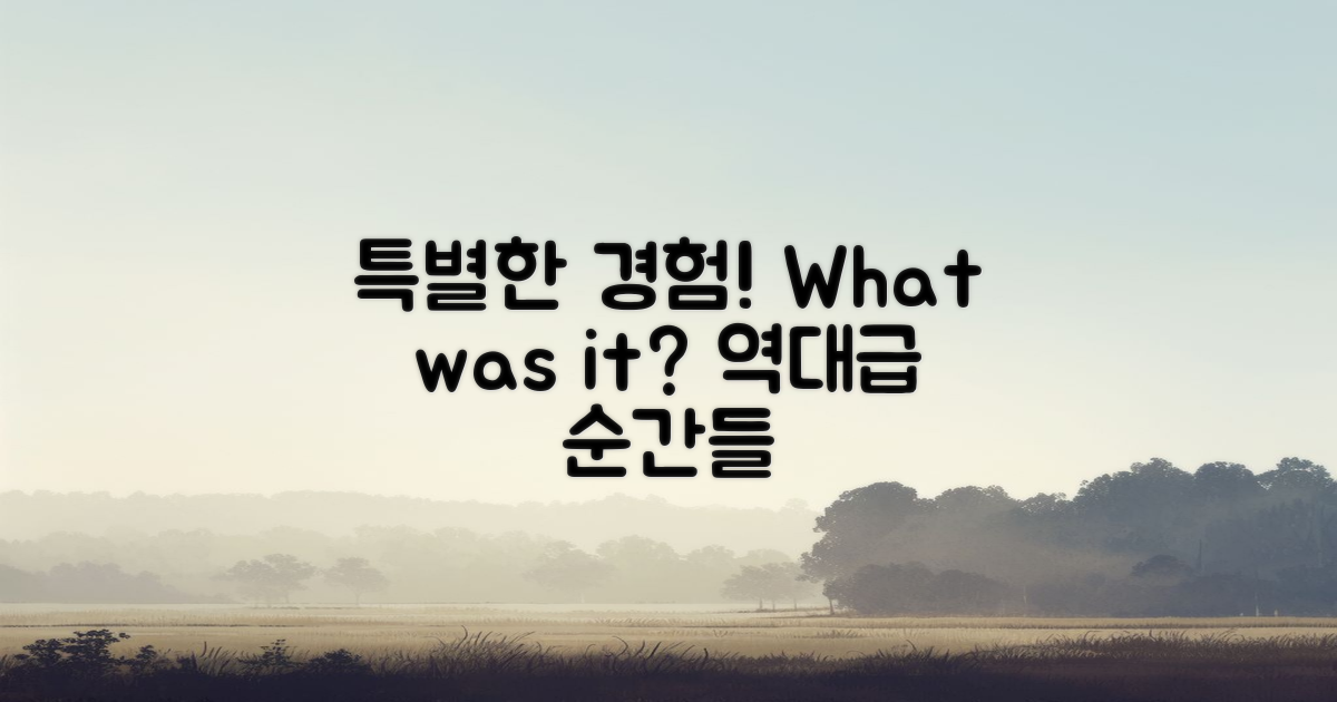 어떤 특별한 경험이 있었을까?