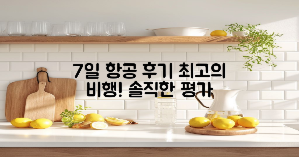 7일간의 항공 후기