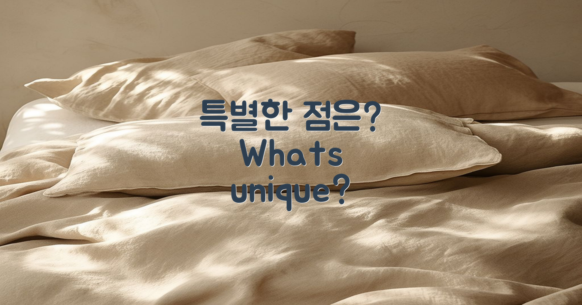 어떤 특별한 점이 있을까?