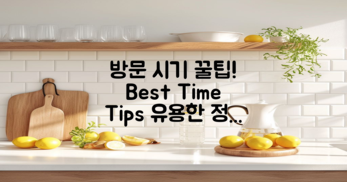 방문 시기 및 팁