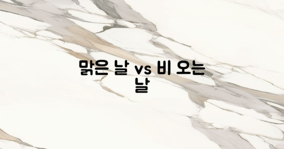 맑은 날 vs 비 오는 날