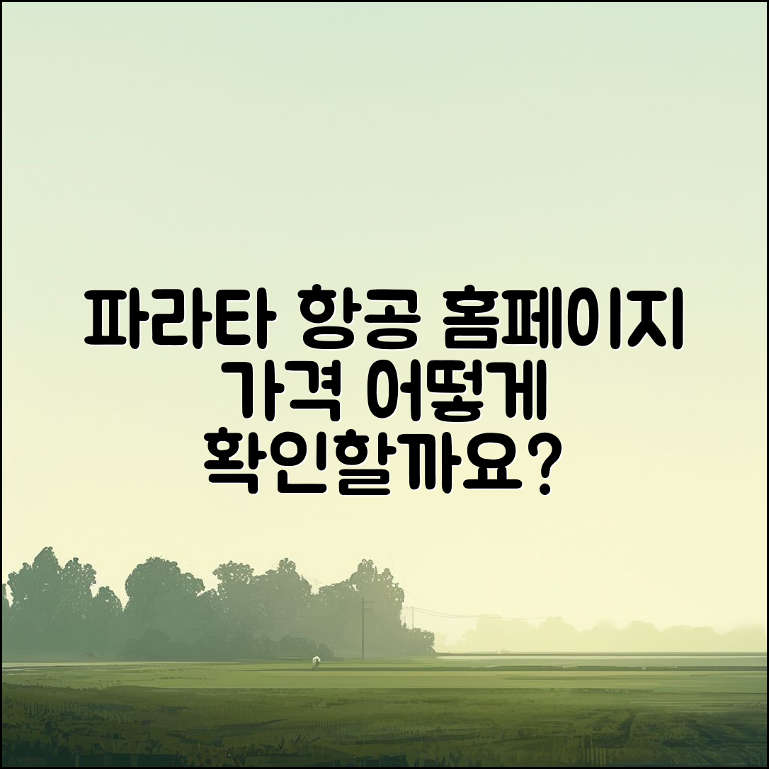 파라타 항공 홈페이지 가격, 어떻게 확인할까요?