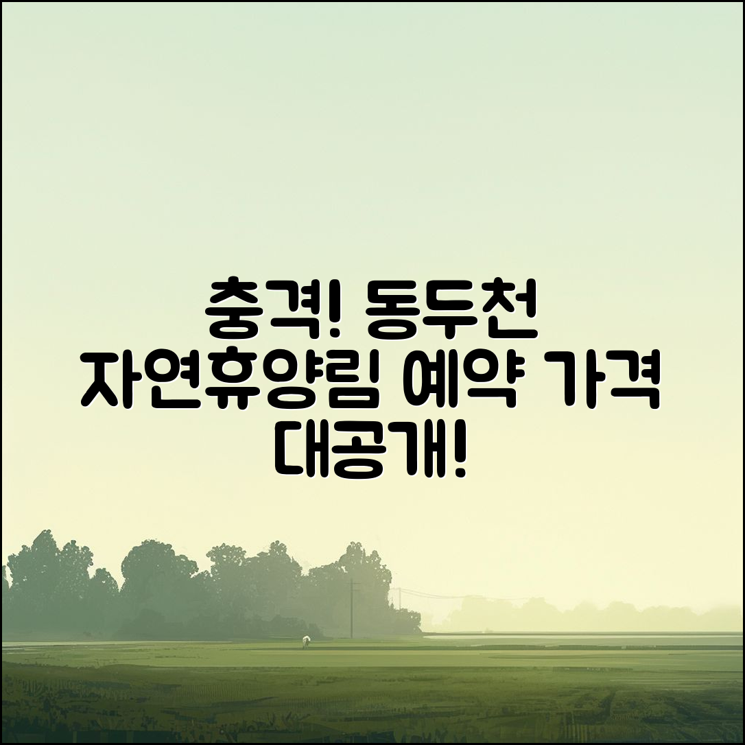 충격적인 동두천자연휴양림 예약 가격 공개!