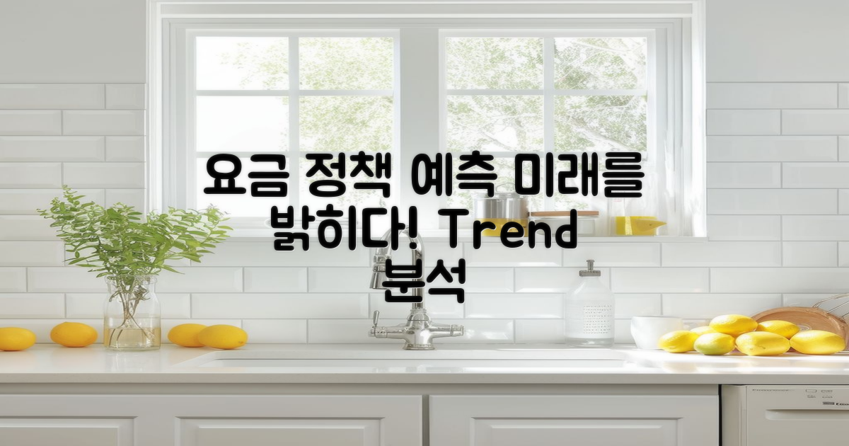 향후 요금 정책 예측